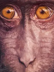 Haunted Crested Macaque | lawton.art