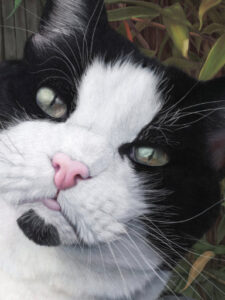 My Friend Fatso | Lawton.art