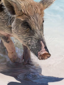 Pigs on Holiday - Number One | Lawton.art