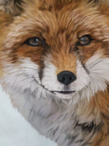 Red Fox | lawton.art