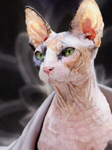 Noble Sphynx Cat | lawton.art by Chris Lawton